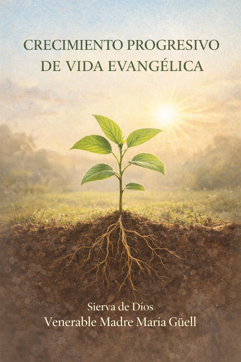 Vida evangélica
